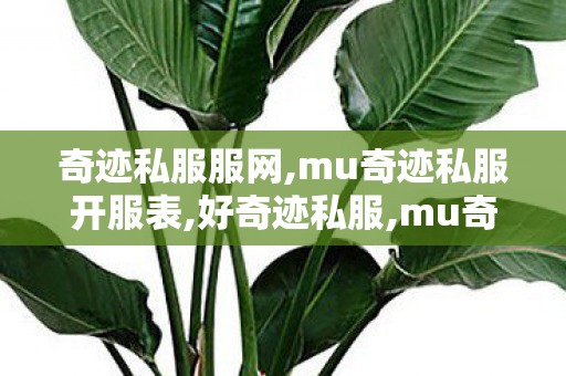 奇迹私服服网,mu奇迹私服开服表,好奇迹私服,mu奇迹私服开服表
