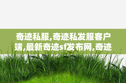 奇迹私服,奇迹私发服客户端,最新奇迹sf发布网,奇迹私发服客户端