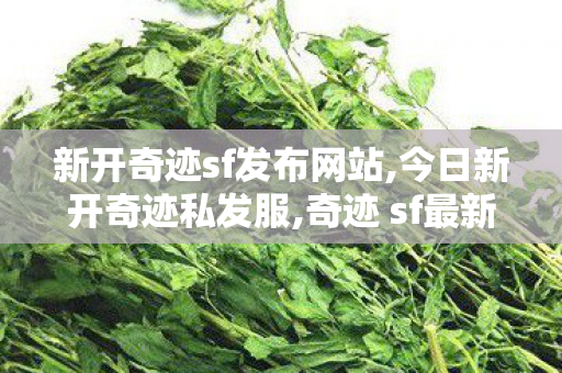 新开奇迹sf发布网站,今日新开奇迹私发服,奇迹 sf最新发布网,今日新开奇迹私发服