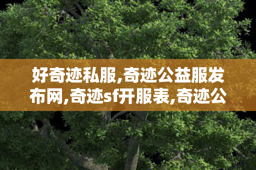 好奇迹私服,奇迹公益服发布网,奇迹sf开服表,奇迹公益服发布网