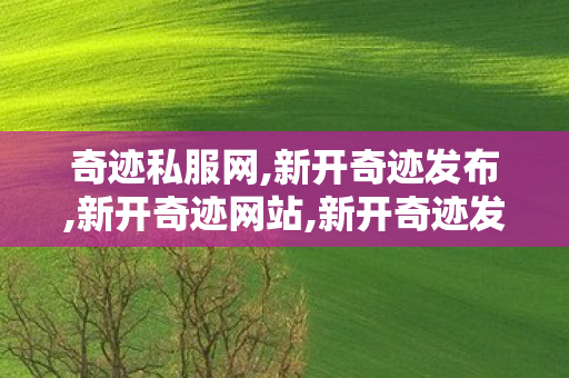 奇迹私服网,新开奇迹发布,新开奇迹网站,新开奇迹发布