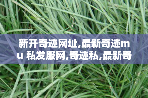 新开奇迹网址,最新奇迹mu 私发服网,奇迹私,最新奇迹mu 私发服网
