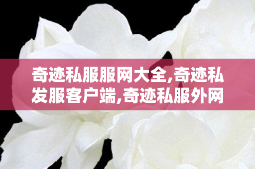 奇迹私服服网大全,奇迹私发服客户端,奇迹私服外网架设,奇迹私发服客户端