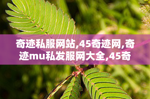 奇迹私服网站,45奇迹网,奇迹mu私发服网大全,45奇迹网