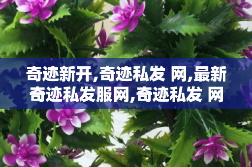 奇迹新开,奇迹私发 网,最新奇迹私发服网,奇迹私发 网