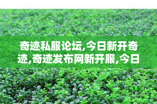 奇迹私服论坛,今日新开奇迹,奇迹发布网新开服,今日新开奇迹