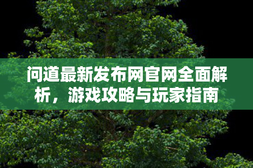 问道最新发布网官网全面解析，游戏攻略与玩家指南