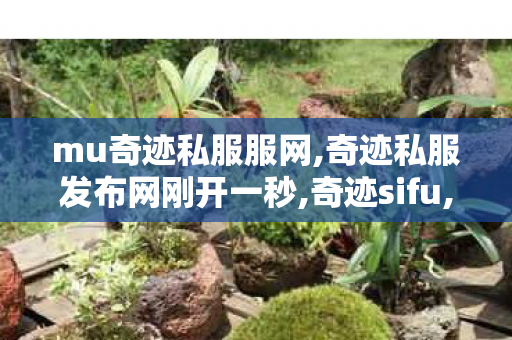 mu奇迹私服服网,奇迹私服发布网刚开一秒,奇迹sifu,奇迹私服发布网刚开一秒