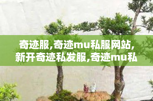 奇迹服,奇迹mu私服网站,新开奇迹私发服,奇迹mu私服网站