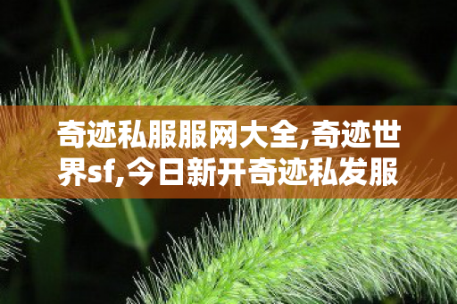 奇迹私服服网大全,奇迹世界sf,今日新开奇迹私发服网,奇迹世界sf
