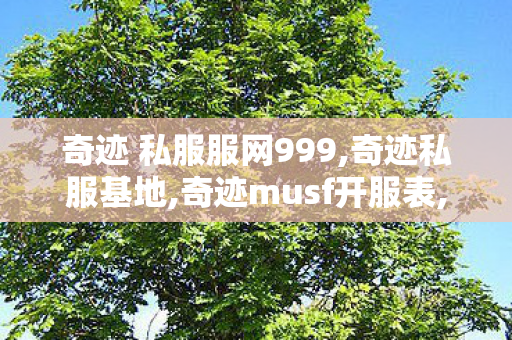 奇迹 私服服网999,奇迹私服基地,奇迹musf开服表,奇迹私服基地