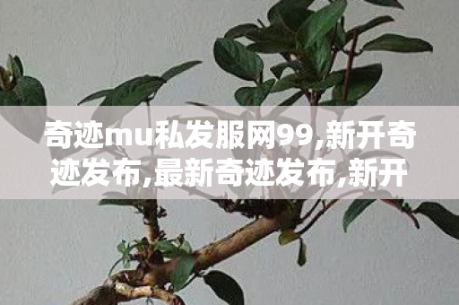 奇迹mu私发服网99,新开奇迹发布,最新奇迹发布,新开奇迹发布