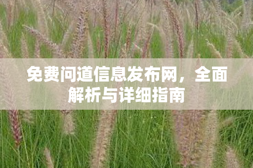 免费问道信息发布网，全面解析与详细指南