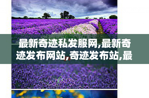 最新奇迹私发服网,最新奇迹发布网站,奇迹发布站,最新奇迹发布网站