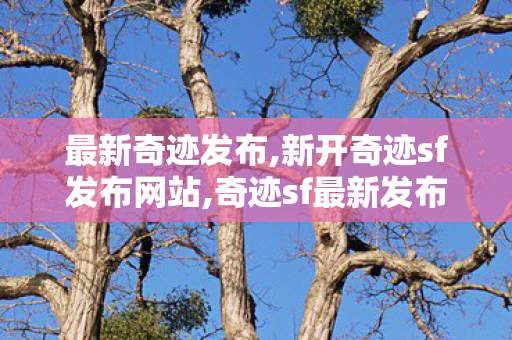 最新奇迹发布,新开奇迹sf发布网站,奇迹sf最新发布,新开奇迹sf发布网站
