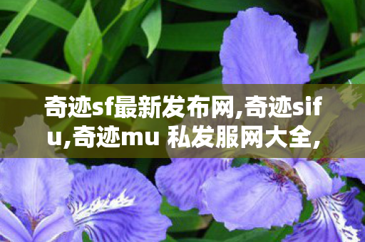 奇迹sf最新发布网,奇迹sifu,奇迹mu 私发服网大全,奇迹sifu