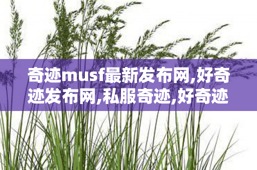 奇迹musf最新发布网,好奇迹发布网,私服奇迹,好奇迹发布网