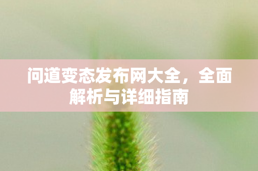问道变态发布网大全，全面解析与详细指南