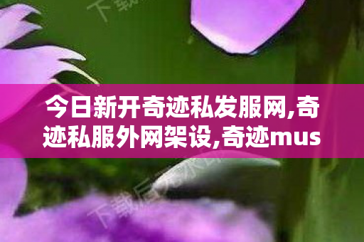 今日新开奇迹私发服网,奇迹私服外网架设,奇迹musf最新发布网,奇迹私服外网架设