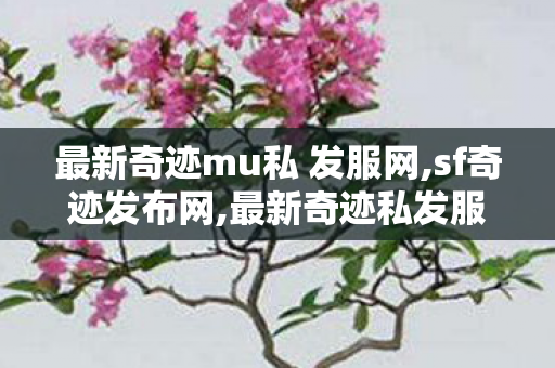 最新奇迹mu私 发服网,sf奇迹发布网,最新奇迹私发服网,sf奇迹发布网