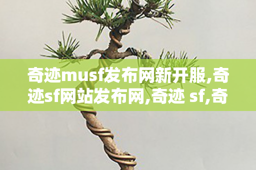 奇迹musf发布网新开服,奇迹sf网站发布网,奇迹 sf,奇迹sf网站发布网