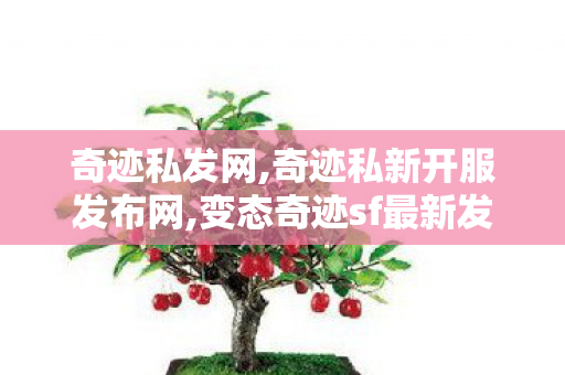 奇迹私发网,奇迹私新开服发布网,变态奇迹sf最新发布网,奇迹私新开服发布网