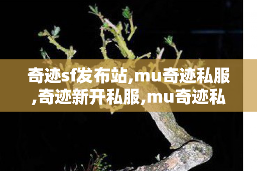 奇迹sf发布站,mu奇迹私服,奇迹新开私服,mu奇迹私服