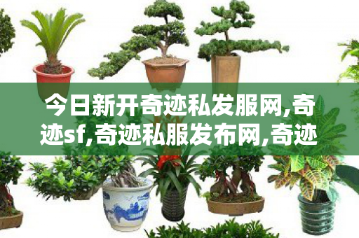 今日新开奇迹私发服网,奇迹sf,奇迹私服发布网,奇迹sf