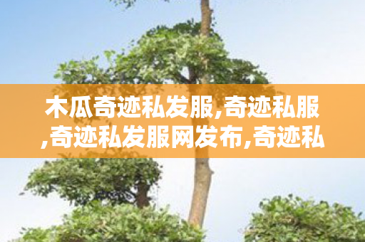 木瓜奇迹私发服,奇迹私服,奇迹私发服网发布,奇迹私服