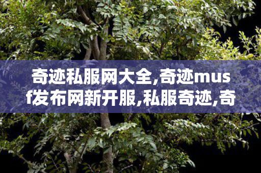 奇迹私服网大全,奇迹musf发布网新开服,私服奇迹,奇迹musf发布网新开服