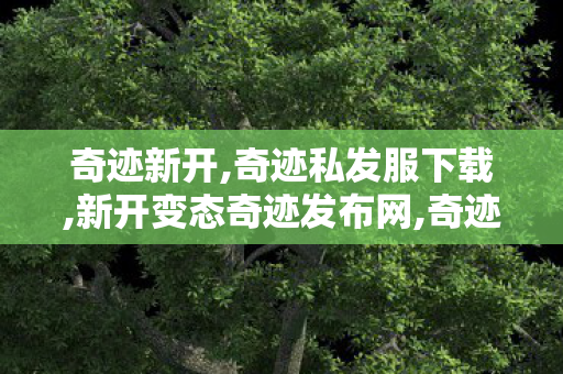 奇迹新开,奇迹私发服下载,新开变态奇迹发布网,奇迹私发服下载