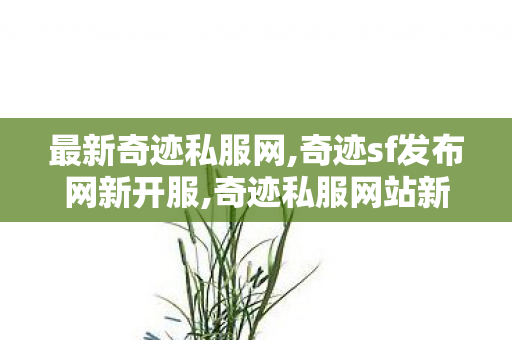 最新奇迹私服网,奇迹sf发布网新开服,奇迹私服网站新开网,奇迹sf发布网新开服
