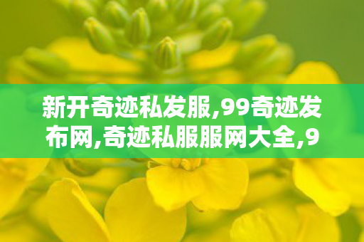 新开奇迹私发服,99奇迹发布网,奇迹私服服网大全,99奇迹发布网