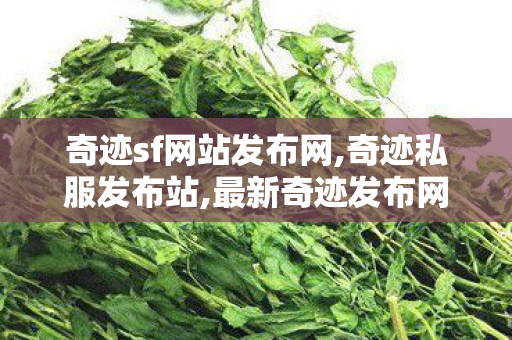 奇迹sf网站发布网,奇迹私服发布站,最新奇迹发布网新开服,奇迹私服发布站