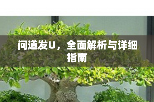 问道发U，全面解析与详细指南