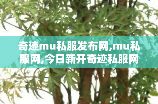 奇迹mu私服发布网,mu私服网,今日新开奇迹私服网,mu私服网