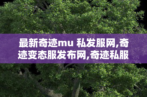 最新奇迹mu 私发服网,奇迹变态服发布网,奇迹私服服网999,奇迹变态服发布网