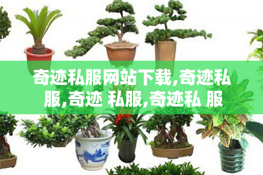 奇迹私服网站下载,奇迹私 服,奇迹 私服,奇迹私 服