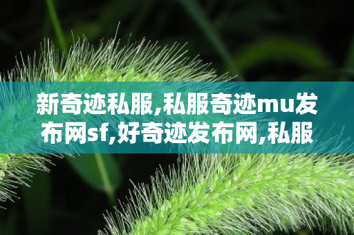 新奇迹私服,私服奇迹mu发布网sf,好奇迹发布网,私服奇迹mu发布网sf