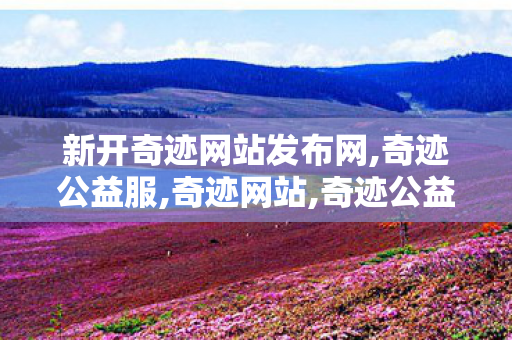 新开奇迹网站发布网,奇迹公益服,奇迹网站,奇迹公益服