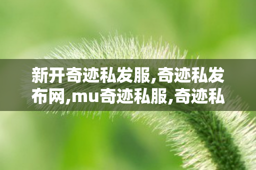 新开奇迹私发服,奇迹私发布网,mu奇迹私服,奇迹私发布网