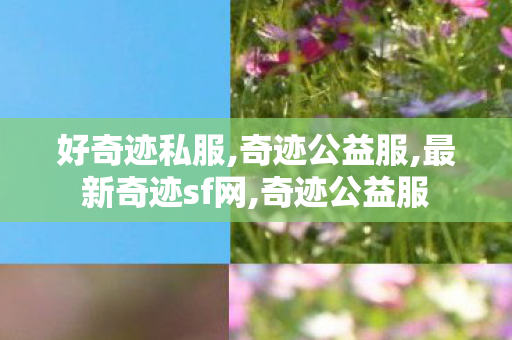 好奇迹私服,奇迹公益服,最新奇迹sf网,奇迹公益服