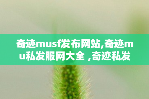 奇迹musf发布网站,奇迹mu私发服网大全 ,奇迹私发服网大全,奇迹mu私发服网大全