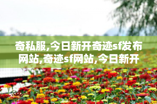奇私服,今日新开奇迹sf发布网站,奇迹sf网站,今日新开奇迹sf发布网站