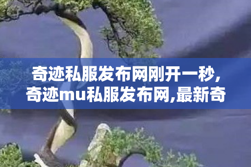 奇迹私服发布网刚开一秒,奇迹mu私服发布网,最新奇迹mu 私发服网,奇迹mu私服发布网