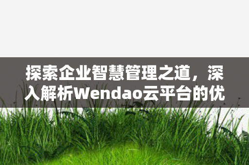 探索企业智慧管理之道，深入解析Wendao云平台的优势与应用