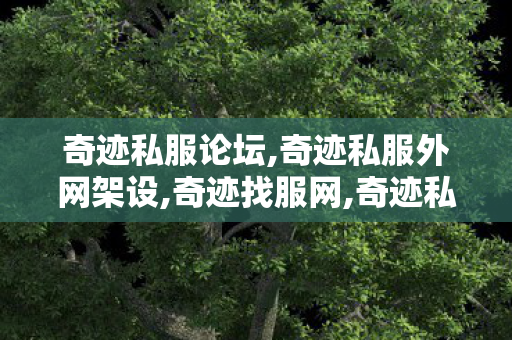 奇迹私服论坛,奇迹私服外网架设,奇迹找服网,奇迹私服外网架设