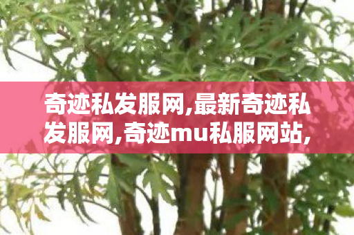 奇迹私发服网,最新奇迹私发服网,奇迹mu私服网站,最新奇迹私发服网