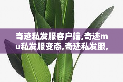 奇迹私发服客户端,奇迹mu私发服变态,奇迹私发服,奇迹mu私发服变态