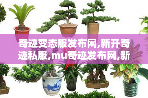奇迹变态服发布网,新开奇迹私服,mu奇迹发布网,新开奇迹私服